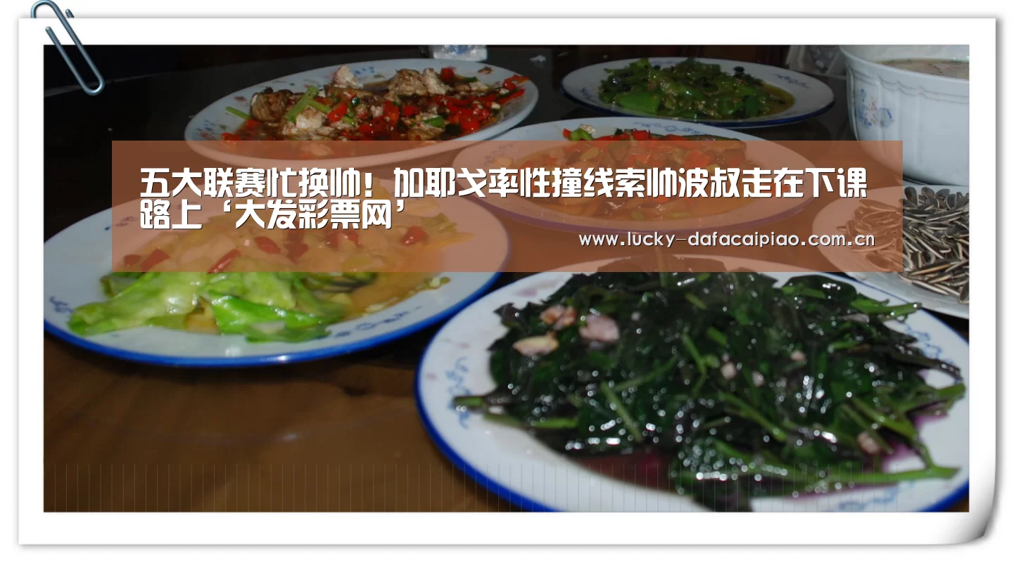 大发彩票官网