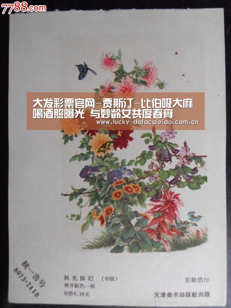 大发彩票网