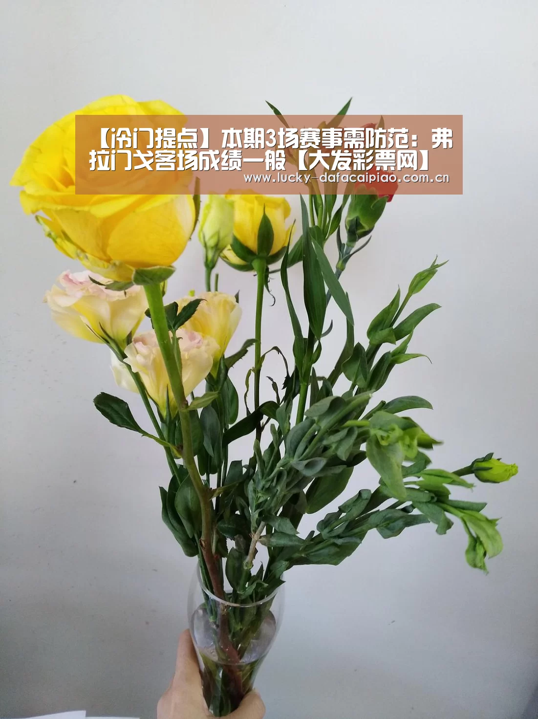 大发彩票网